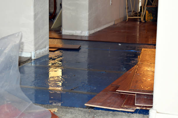 Professional Basement Flood Cleanup technician working in Rydal, GA